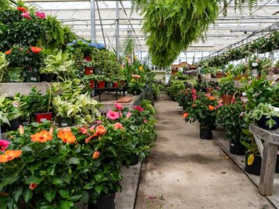 Assistant Garden Center Manager