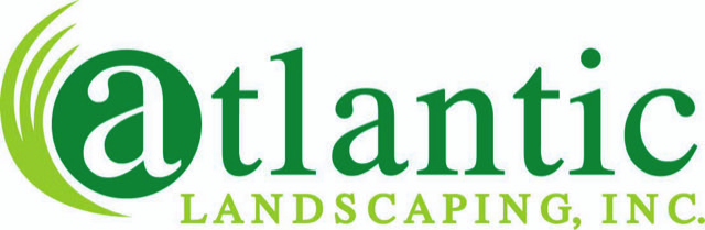 Accounts Payable Specialist